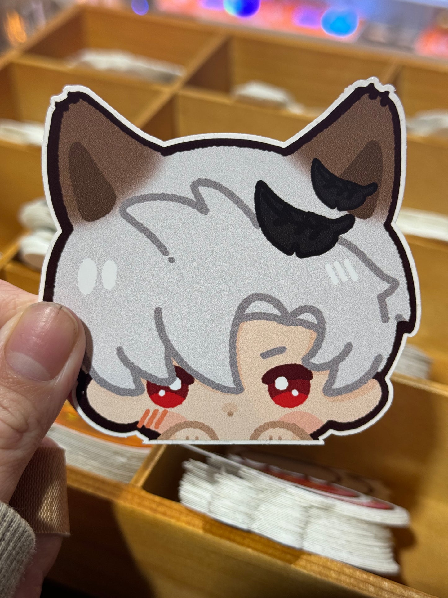 LADS LI kitty stickers