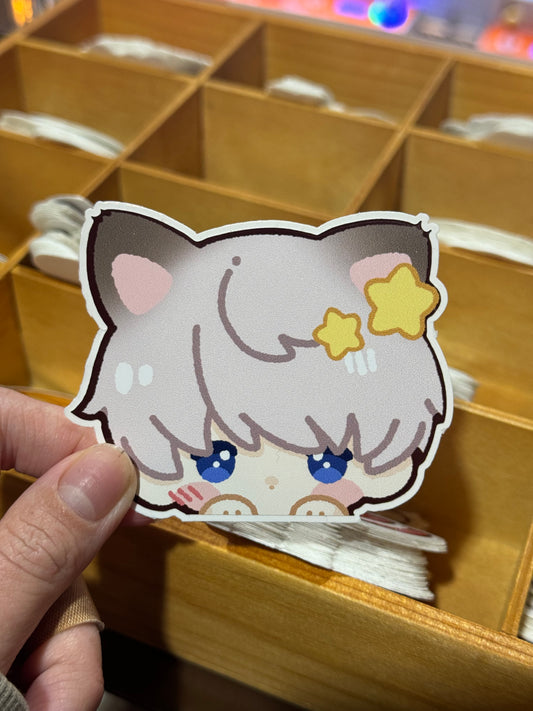 LADS LI kitty stickers
