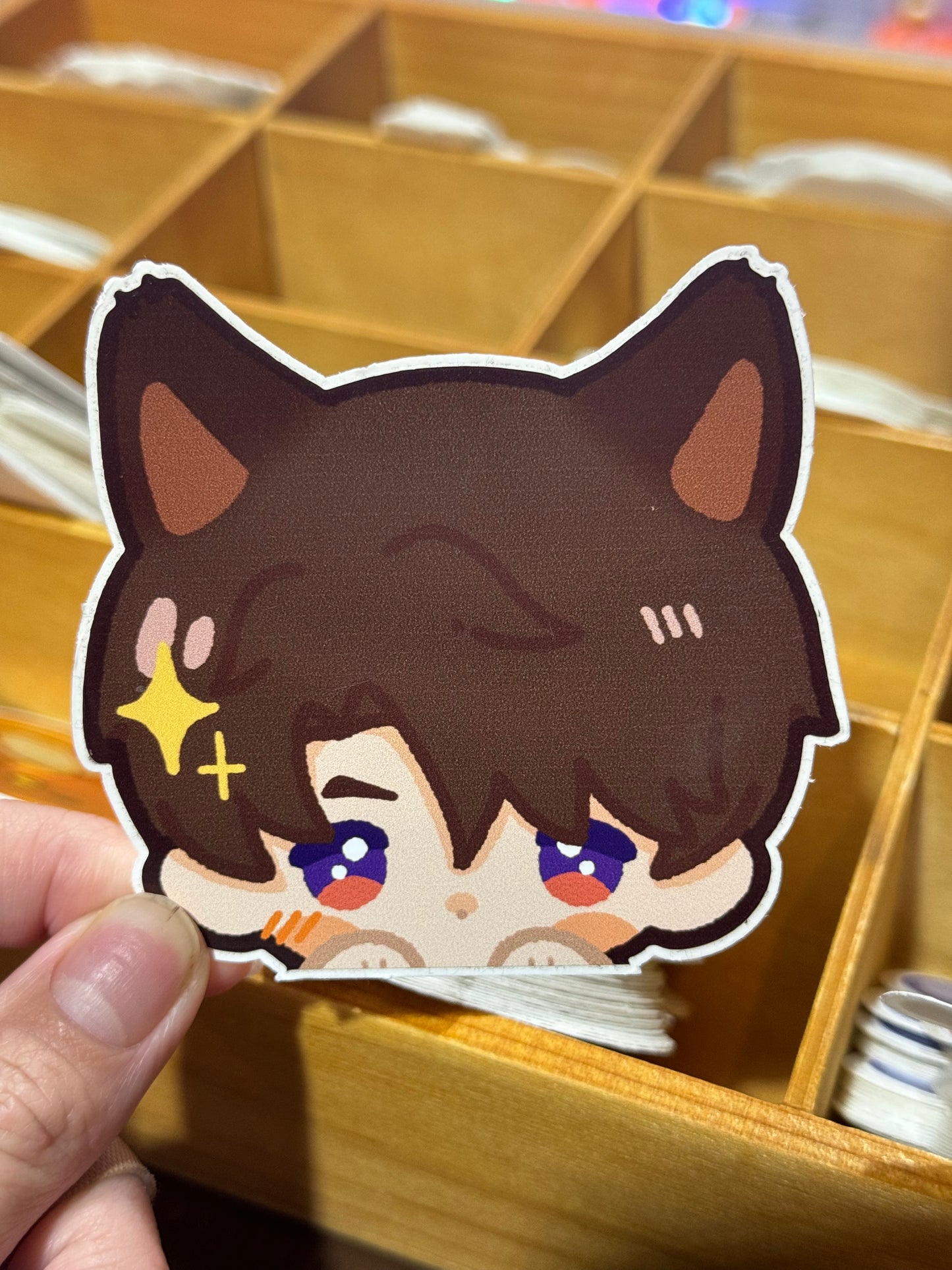 LADS LI kitty stickers