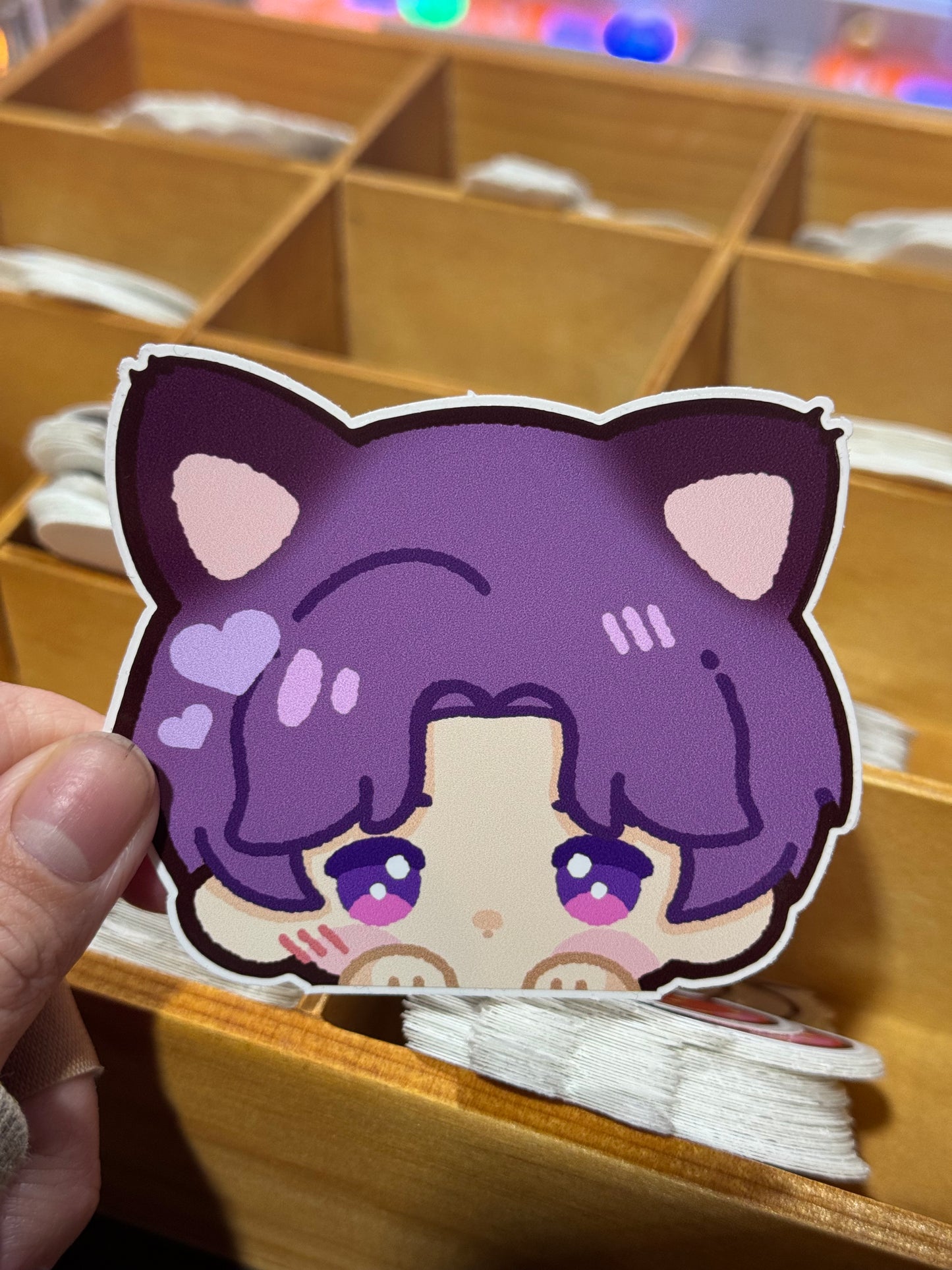 LADS LI kitty stickers